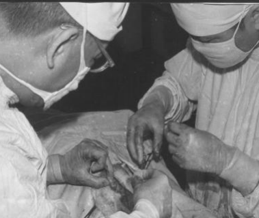 图片6.png 图片6.png