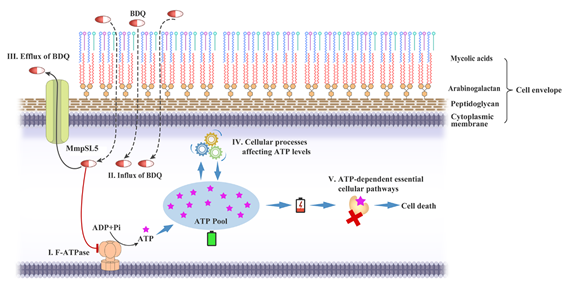 1db9195ed7974d76b6e5312fe63f16f9.png image.png