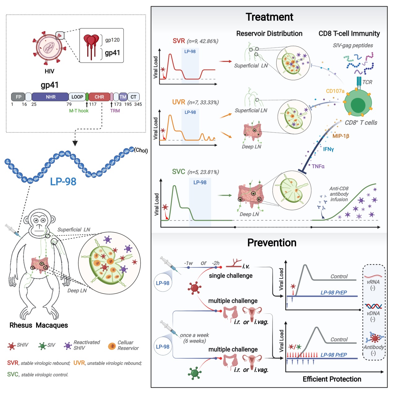 986275636c9b447a96d9161b31334973.jpg 12121212.jpg