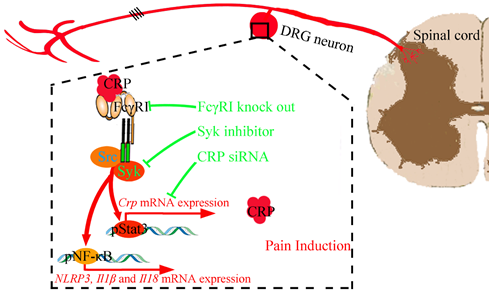 db3e078f672a4a0a8f6dcc4c55444839.png image.png