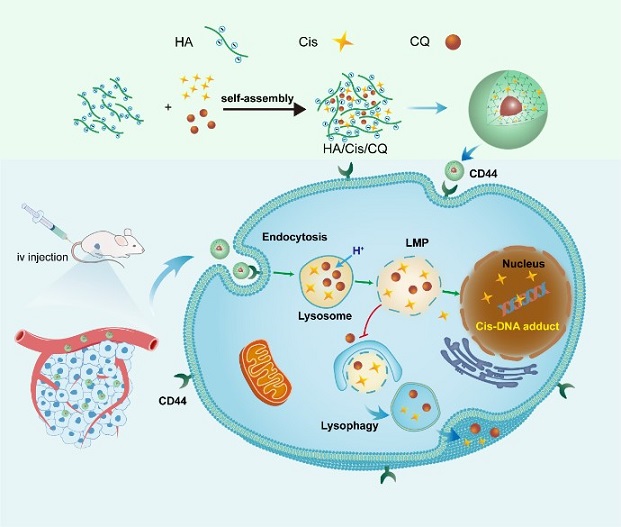 ͼ2- ¹̽չ챨247.jpg