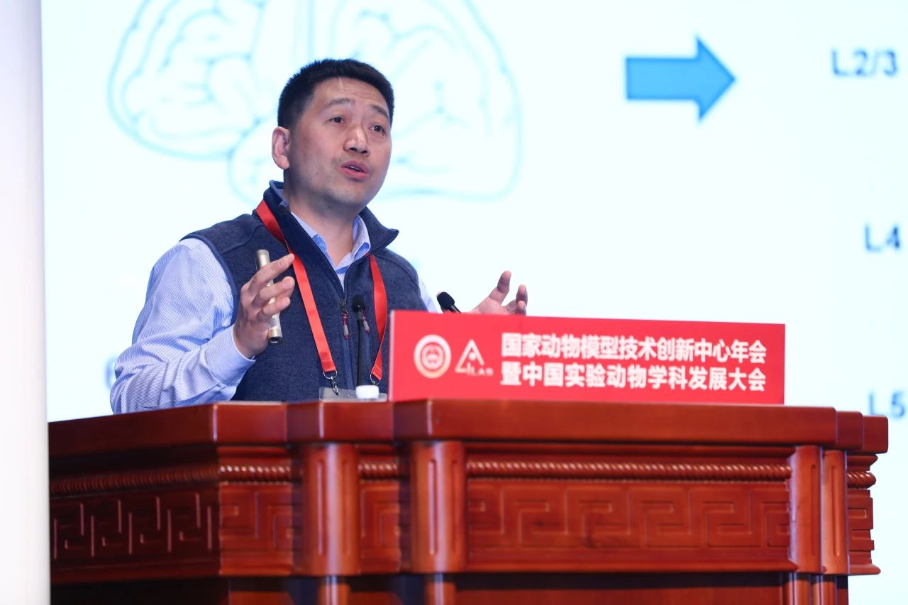 91aaa5e5d6a744dc89c8e8d05aaa2b7c.jpg 91aaa5e5d6a744dc89c8e8d05aaa2b7c.jpg