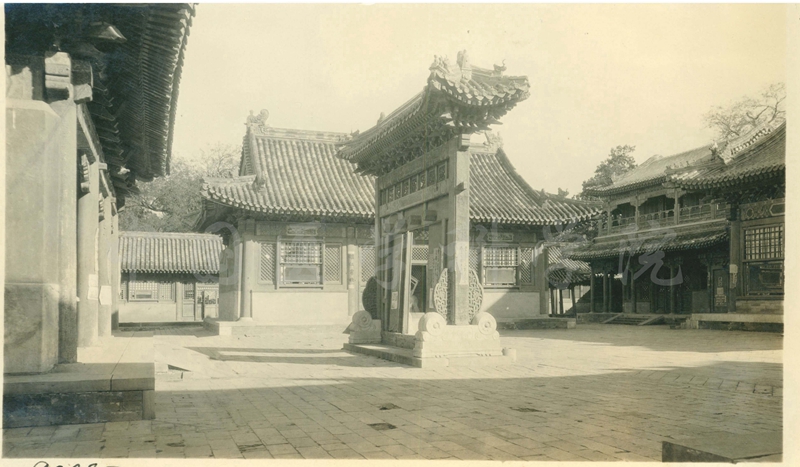 6-0039014_副本_副本.jpg 6-0039014_副本_副本.jpg