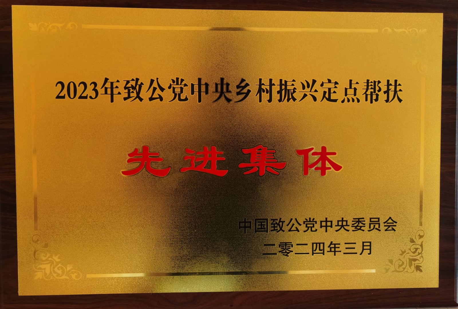 致公党阜外支部先进集体.jpeg 致公党阜外支部先进集体.jpeg