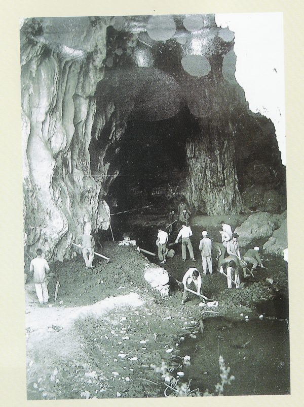 02 QQͼƬ20190103083426