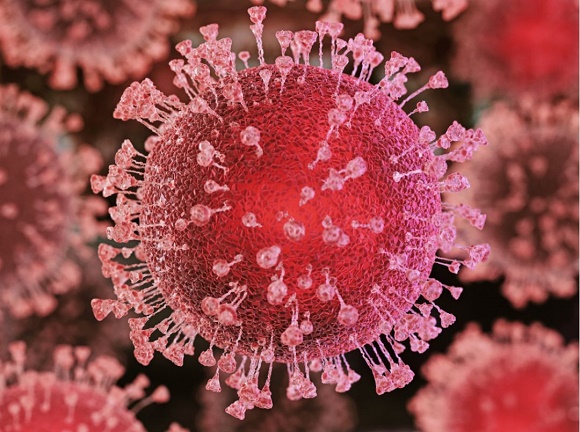 ΢ͼƬ_20200321161111