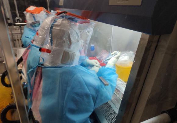 ΢ͼƬ_20200501172241