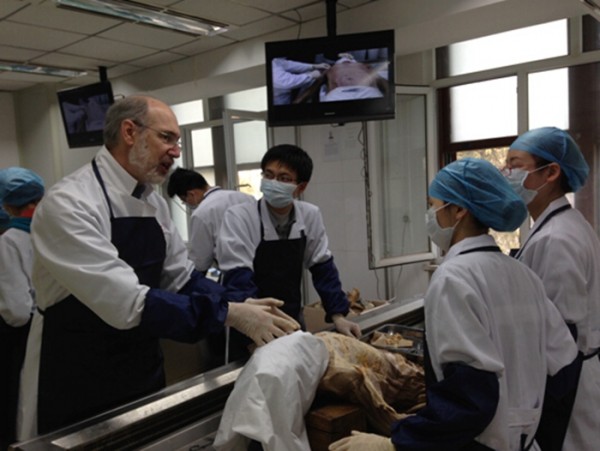 Ү³ѧҽѧԺʽѧRizzoloУ2