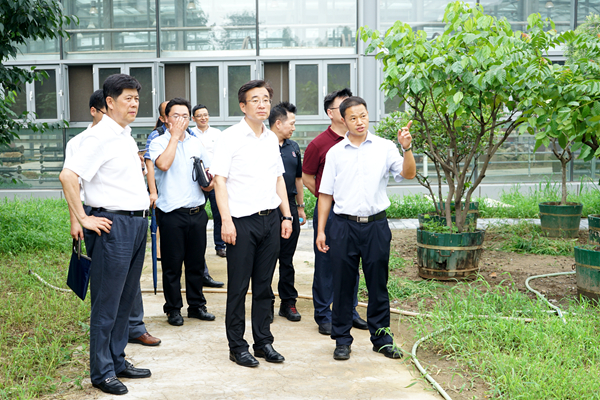 ΢ͼƬ_20180726114618