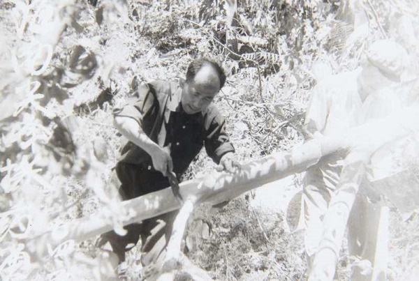 187ҽԺƽٽںϼXኼϴƤs